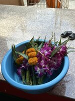IMG_8694.jpeg