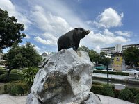 IMG_9086.jpeg