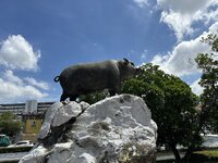 IMG_9087.jpeg