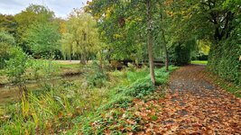 20251017_133354.jpg 20251017_133354.jpg