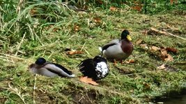 20251017_133149.jpg 20251017_133149.jpg