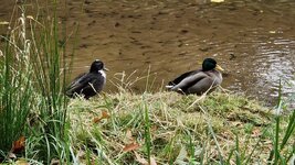 20251017_133321.jpg 20251017_133321.jpg