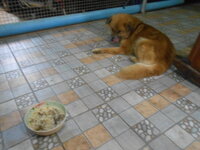 DSCN3391.JPG