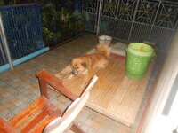 DSCN3393.JPG