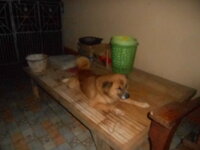 DSCN3394.JPG
