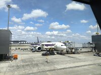IMG_20251018_124603.jpg