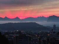 IMG_20251019_073433 (002).jpg