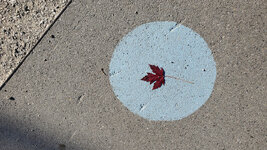 1 - 4    HERBST_cleaned.jpg