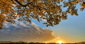 1 - 7   HERBST_cleaned.jpg