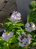 2024-07-14 10.39.55.jpg