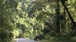IMG_1460.jpeg