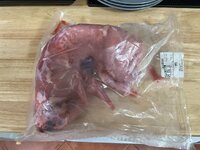 IMG_5228.jpeg