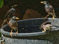 P1170259.JPG P1170259.JPG