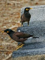 P1380552.JPG P1380552.JPG