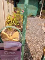IMG_20240321_145427_104.jpg