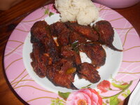 DSCN0466.JPG