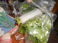 DSCN0459.JPG