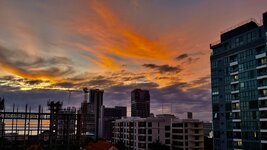 IMG_5503.jpeg