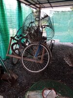 IMG_20240909_152121_729.jpg