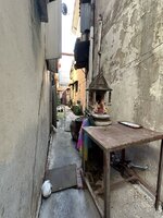 IMG_8753.jpeg IMG_8753.jpeg