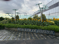 Singapur außen.png