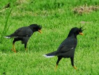 P1370653.JPG P1370653.JPG