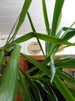 IMG_20250928_122847_037.jpg