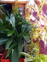 IMG_20250928_122651_521.jpg