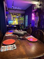 IMG_8802.jpeg