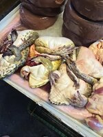 20250702_191644 (1).jpg