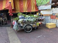 IMG_8826.jpeg