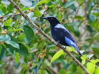 P1130966.JPG P1130966.JPG