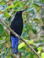 P1130975.JPG P1130975.JPG