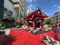 IMG_8910.jpeg IMG_8910.jpeg