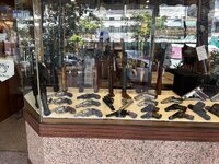 IMG_8913.jpeg IMG_8913.jpeg