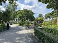 IMG_8918.jpeg IMG_8918.jpeg