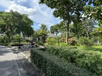 IMG_8919.jpeg IMG_8919.jpeg