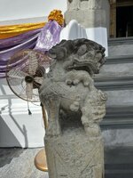 IMG_8928.jpeg IMG_8928.jpeg