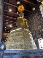 IMG_8943.jpeg IMG_8943.jpeg