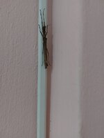 17617126869628947775456898063110.jpg 17617126869628947775456898063110.jpg