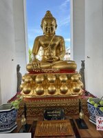 IMG_8947.jpeg IMG_8947.jpeg