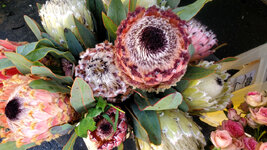 1 - 4  flower  _cleaned.jpg