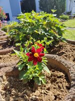 2024-07-14 10.40.31.jpg