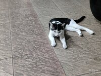 2025-09-29 22.43.13.jpg