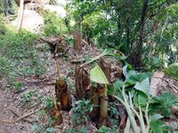 20250113_153046.jpg 20250113_153046.jpg