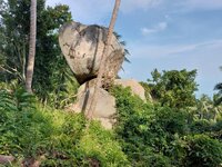 20250113_153103.jpg 20250113_153103.jpg