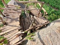 20250113_153405.jpg 20250113_153405.jpg