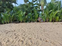 20251104_082530.jpg 20251104_082530.jpg