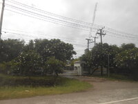 DSCN3507.JPG DSCN3507.JPG