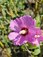 2024-07-14 11.07.35.jpg